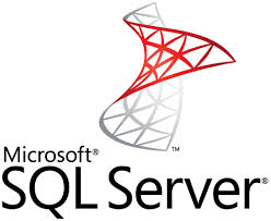 Microsoft SQL Server 로고