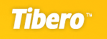 Tibero 이중화 구성 화면