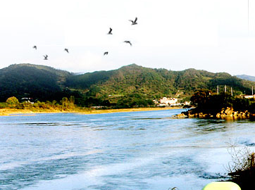 ys_flood
